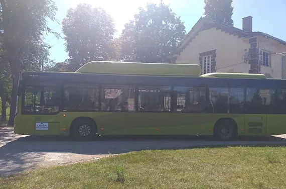 Man Lions City CNG – Duga doo Petlovača (Continental)