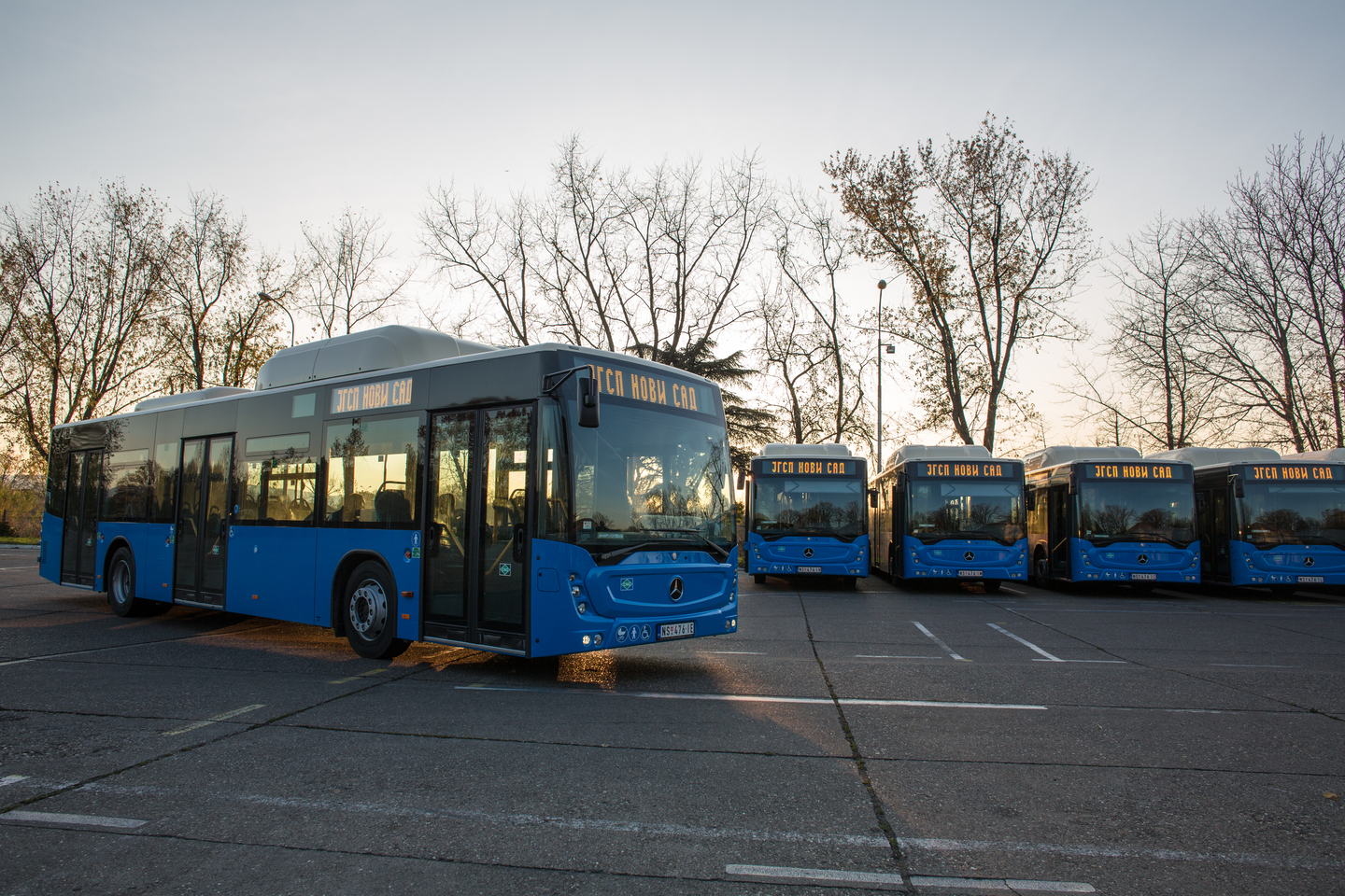 Manjak vozača u GSP-u Novi Sad zbog korone